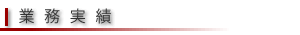業務実績