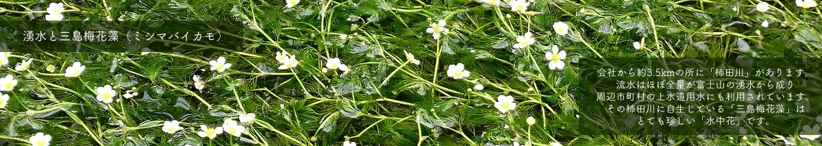 私達は見えない地中を探る地盤のプロ集団です。東洋地研株式会社